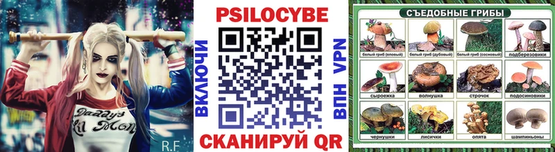 Псилоцибиновые грибы Psilocybine cubensis Купить где Сураж