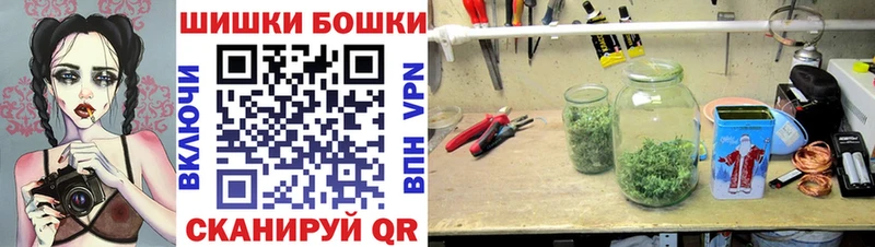 Купить закладки  Сураж  Бошки марихуана MAZAR 